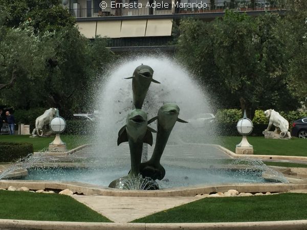 delfini hilton px 1000